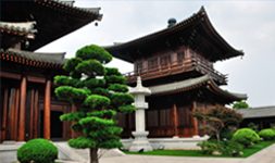 Cruceros por Baoshan (Shangh&aacute;i) en China