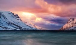 C&iacute;rculo &Aacute;rtico