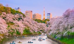 Crucero por Tokio en Jap&oacute;n