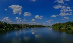 Crucero por Cochin en India
