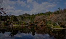Crucero por Kyoto en Jap&oacute;n