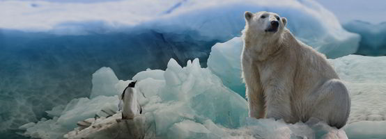 Cruceros de Lujo por la Antártida