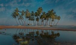 Crucero por Salalah en Om&aacute;n